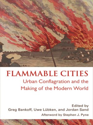 cover image of Flammable Cities